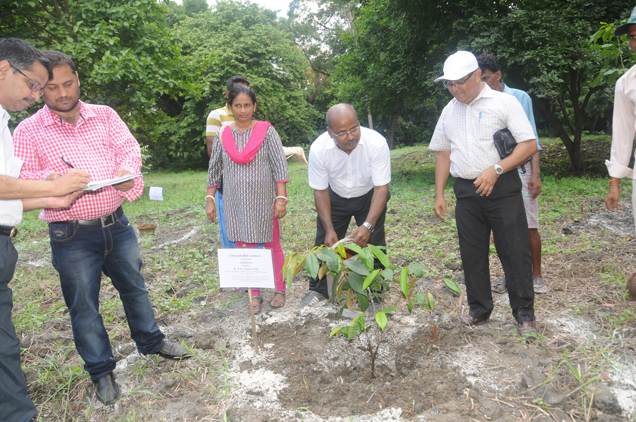 Plantation by Dr. B.K. Mahapatra, Principal Scientist, CIFE, Kolkata